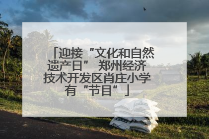 迎接“文化和自然遗产日” 郑州经济技术开发区肖庄小学有“节目”