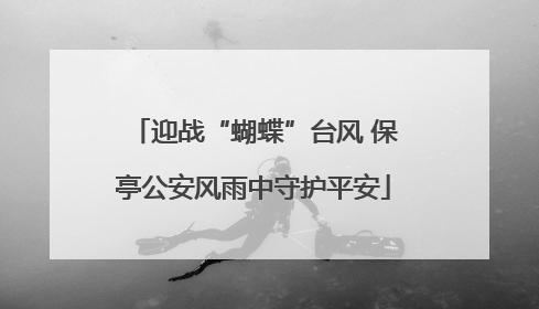迎战“蝴蝶”台风 保亭公安风雨中守护平安