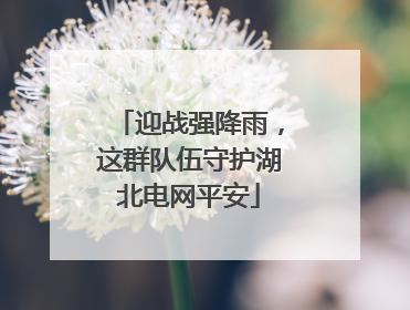 迎战强降雨，这群队伍守护湖北电网平安