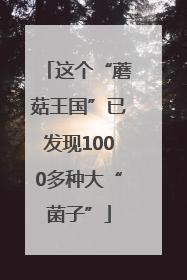 这个“蘑菇王国”已发现1000多种大“菌子”