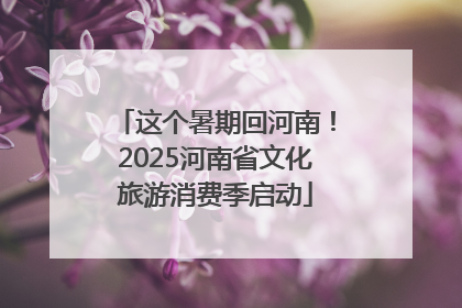 这个暑期回河南！2025河南省文化旅游消费季启动