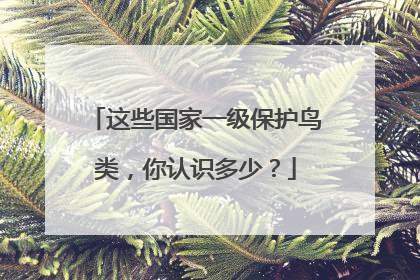 这些国家一级保护鸟类，你认识多少？