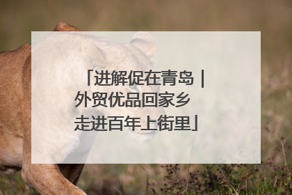 进解促在青岛｜外贸优品回家乡 走进百年上街里