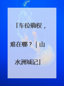 车位确权，难在哪？｜山水洲城记