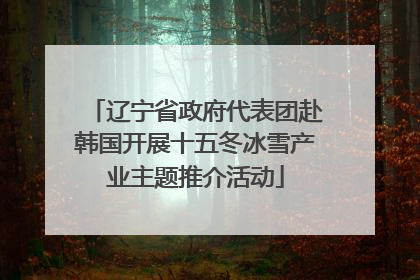 辽宁省政府代表团赴韩国开展十五冬冰雪产业主题推介活动