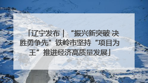 辽宁发布｜“振兴新突破 决胜勇争先”铁岭市坚持“项目为王”推进经济高质量发展