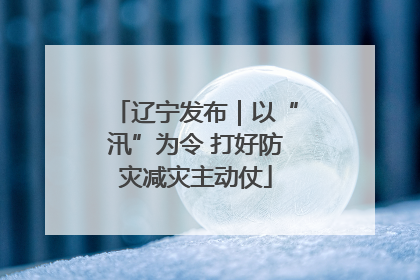 辽宁发布｜以“汛”为令 打好防灾减灾主动仗
