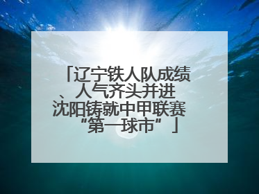 辽宁铁人队成绩、人气齐头并进 沈阳铸就中甲联赛“第一球市”