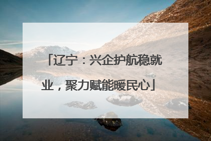 辽宁：兴企护航稳就业，聚力赋能暖民心