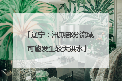 辽宁：汛期部分流域可能发生较大洪水