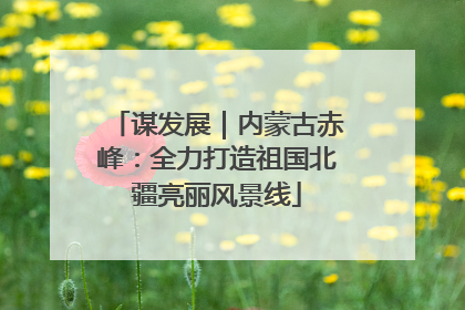 谋发展｜内蒙古赤峰：全力打造祖国北疆亮丽风景线