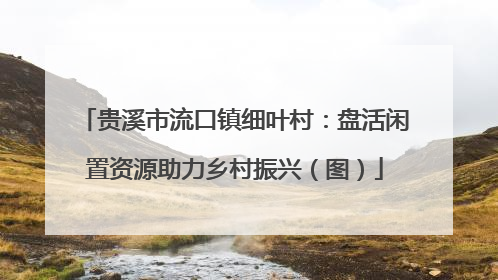 贵溪市流口镇细叶村：盘活闲置资源助力乡村振兴（图）