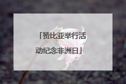 赞比亚举行活动纪念非洲日