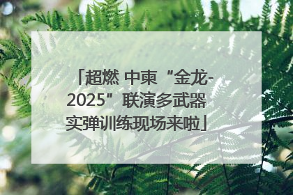 超燃 中柬“金龙-2025”联演多武器实弹训练现场来啦