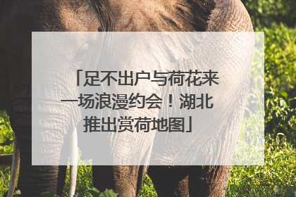 足不出户与荷花来一场浪漫约会！湖北推出赏荷地图