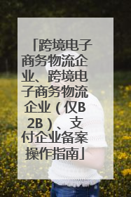 跨境电子商务物流企业、跨境电子商务物流企业（仅B2B）、支付企业备案操作指南