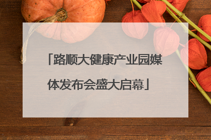 路顺大健康产业园媒体发布会盛大启幕