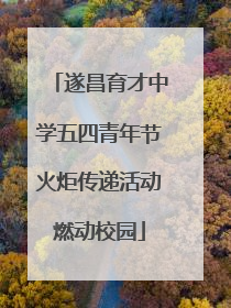 遂昌育才中学五四青年节火炬传递活动燃动校园