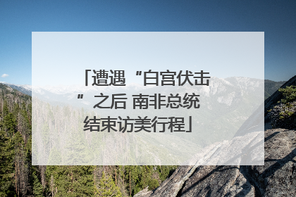 遭遇“白宫伏击”之后 南非总统结束访美行程