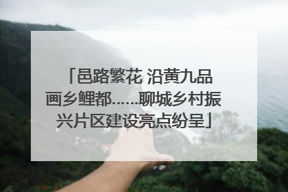 邑路繁花 沿黄九品 画乡鲤都……聊城乡村振兴片区建设亮点纷呈
