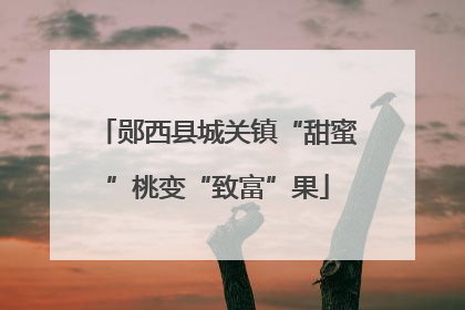 郧西县城关镇“甜蜜”桃变“致富”果
