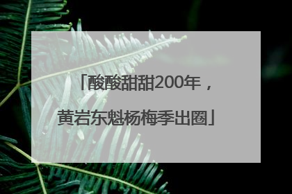 酸酸甜甜200年，黄岩东魁杨梅季出圈