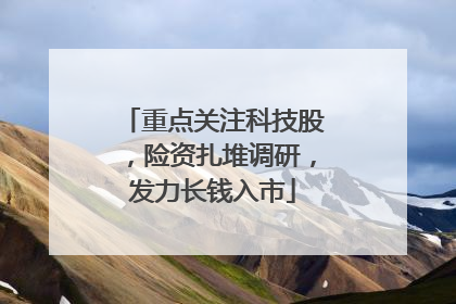 重点关注科技股，险资扎堆调研，发力长钱入市