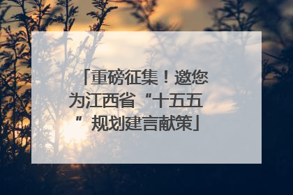 重磅征集！邀您为江西省“十五五”规划建言献策