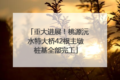 重大进展！桃源沅水特大桥42根主墩桩基全部完工