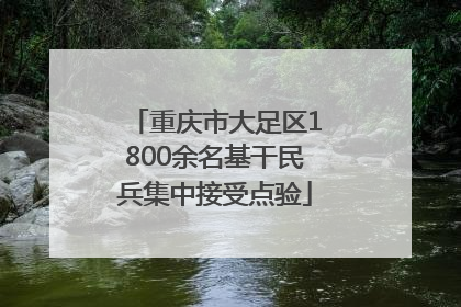 重庆市大足区1800余名基干民兵集中接受点验