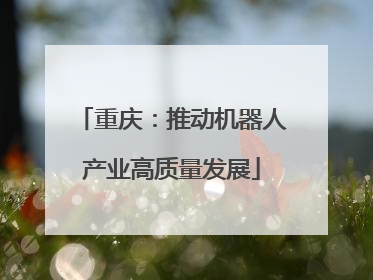 重庆：推动机器人产业高质量发展