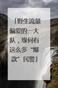 野生流量偏爱的一大队，缘何有这么多“爆款”民警