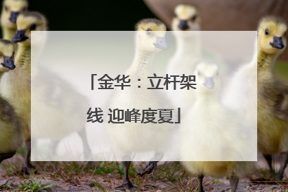 金华：立杆架线 迎峰度夏