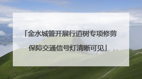 金水城管开展行道树专项修剪 保障交通信号灯清晰可见