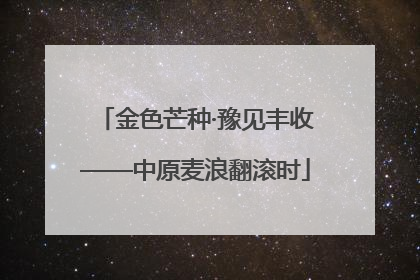 金色芒种·豫见丰收——中原麦浪翻滚时