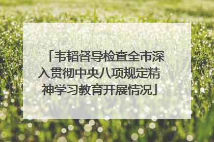 韦韬督导检查全市深入贯彻中央八项规定精神学习教育开展情况