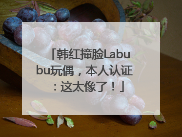 韩红撞脸Labubu玩偶，本人认证：这太像了！