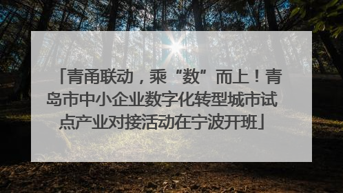 青甬联动，乘“数”而上！青岛市中小企业数字化转型城市试点产业对接活动在宁波开班
