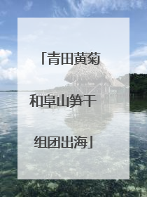 青田黄菊和阜山笋干组团出海