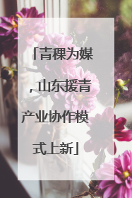 青稞为媒，山东援青产业协作模式上新