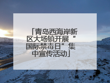 青岛西海岸新区大场镇开展“国际禁毒日”集中宣传活动