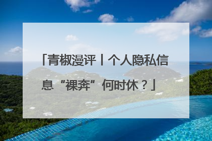 青椒漫评丨个人隐私信息“裸奔”何时休？