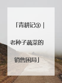 青耕记③｜老种子蔬菜的销售困局