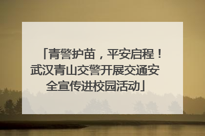 青警护苗，平安启程！武汉青山交警开展交通安全宣传进校园活动