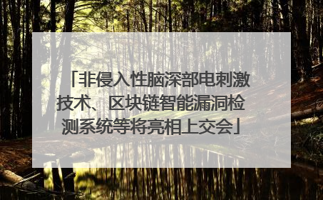 非侵入性脑深部电刺激技术、区块链智能漏洞检测系统等将亮相上交会
