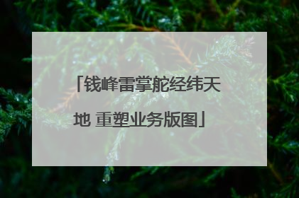 钱峰雷掌舵经纬天地 重塑业务版图