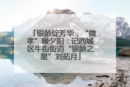 银龄绽芳华，“微孝”暖夕阳：记西城区牛街街道“银龄之星”刘茹月