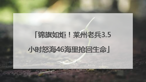 锦旗如炬！莱州老兵3.5小时怒海46海里抢回生命