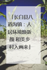 长白县八道沟镇：人居环境焕新颜 和美乡村入画来