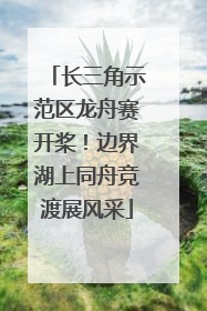 长三角示范区龙舟赛开桨！边界湖上同舟竞渡展风采